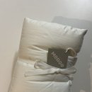 스탠다드도큐멘트 이미지