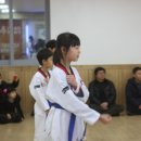 예사랑태권도 이미지