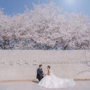 트레서 | 서울대 교수회관 본식스냅 메리안트레 웨딩촬영 후기