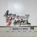 용인대 케이탑 태권도 이미지