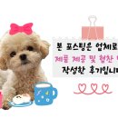 해밍턴부대찌개 증평점 이미지