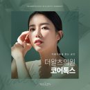 더왈츠의원