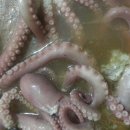 산낙지 삼계탕 이미지