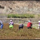 우리자리 이미지