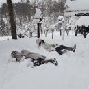 구름위의 테라스2 이미지