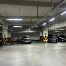 경희동문약국 네이버블로그
