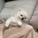 221218 춘천 가평 1박2일 여행