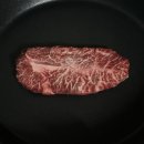 유롤피아