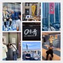 온 세상이 임영웅이다 💙 아들의 톡😆😁 이미지
