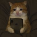 (주)씨투디게임즈 | [성세천하 후기] 내가 중드에..아니 중겜에 빠지다니...★