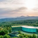 호텔 숲 이미지