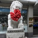 안경가게 이미지