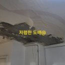 노원-상계-2069 이미지