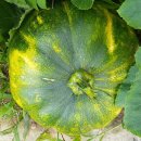 서울이용소 이미지