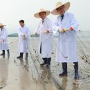 고창장호어촌체험휴양마을 이미지