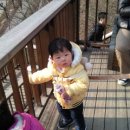 해정목장 이미지