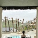 코스타리몬 이미지