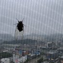 전령의 고별인사 이미지