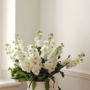 스톡(stock) 이미지