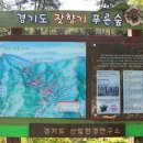 5월18일(토) 잣향기 푸른숲 둘레길 (도영달 대장) 1 이미지