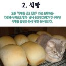 채운보건지소 | 챌린지 #9 알바, 컴활 접수 방법, 보건소, 멘토링, 마녀공장 네고왕, 스코코 펜촉 후기(22.08.15~22.08.21)