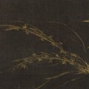 선비무관 이미지