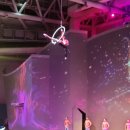 ㈜동선관광 | 아쿠아플라넷 제주 제주도 아이랑 가볼만한곳 🐠 26개월 아들과 함께한 특별한 하루 💙