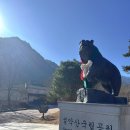 권금성화장실 | 눈 내린 다음 날, 설악산 케이블카 이용 꿀팁과 현실 후기 / 권금성 뷰 솔직 후기