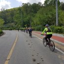 자은임도 이미지