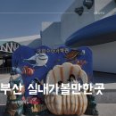 국립수산과학관 아이와 부산 실내가볼만한곳 관람 후기