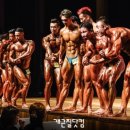 국가대표 피트니스 네이버블로그