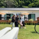 막지리184 이미지