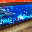 홍익예뜰 어린이집 이미지