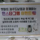 펫마트제주도남점