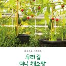 우리채소 이미지