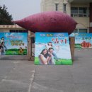 삼기면사무소 이미지