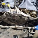 양산 반달곰 카센타 이미지