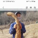 시골이야기 이미지