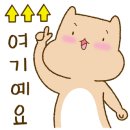 케이텐국제골프아카데미 네이버블로그