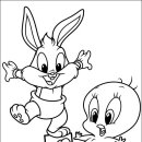 베이비루니툰 이미지