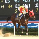 (주)부경 이미지