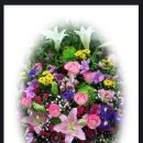 동양당안경원 이미지