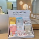 요크독애견샵 | 가오동 애견미용 스트레스 적고 편한 미용샵 '러블리독'