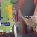 일로동물병원 이미지