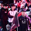 팀딜라이트 이미지