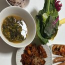 병아리김밥군산나운점