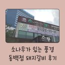 소나무가 있는 풍경 | 소나무가 있는 풍경 동백점 돼지갈비 후기 / 유아 놀이방이 있는 식당