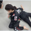 화랑합기도특공무술 이미지