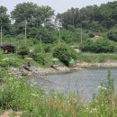 양오낚시터 이미지