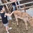 조승환농장 이미지